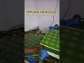 Online Automatic pasting machine Buffet plate sheet making machine #industrialmachine #buffetsheet