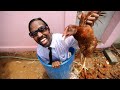 Dunkachicken the village way  wilbur sargunaraj