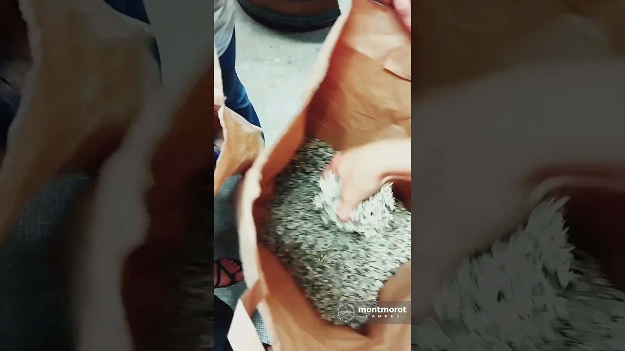 Cosmétiques et savonnerie - CFPPA Montmorot - PPAM