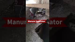 Manure Dewatering Machine | Efficient Solid-Liquid Separation#Dairyfarm#cow #SolidLiquidSeparator