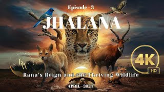 Jhalana Unleashed: Rana’s Reign and the Thriving Wildlife - Episode 3