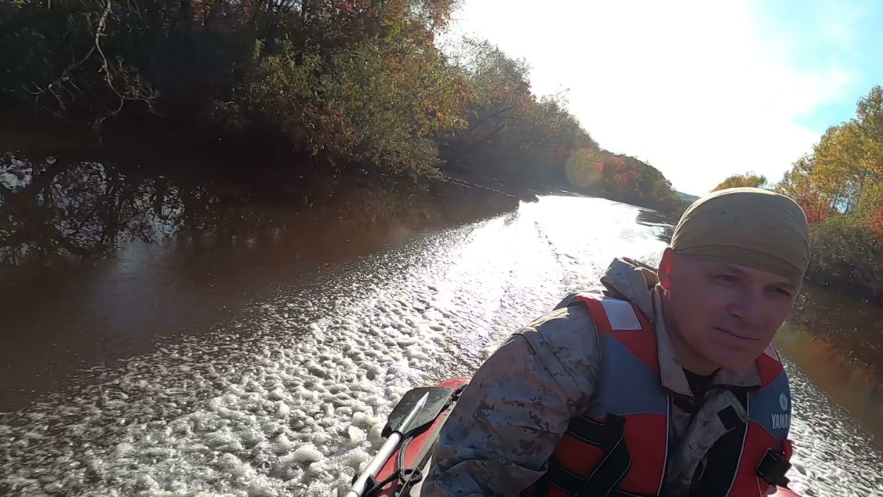 Протока Исток, ЗЕЯ, осень 2021 год.