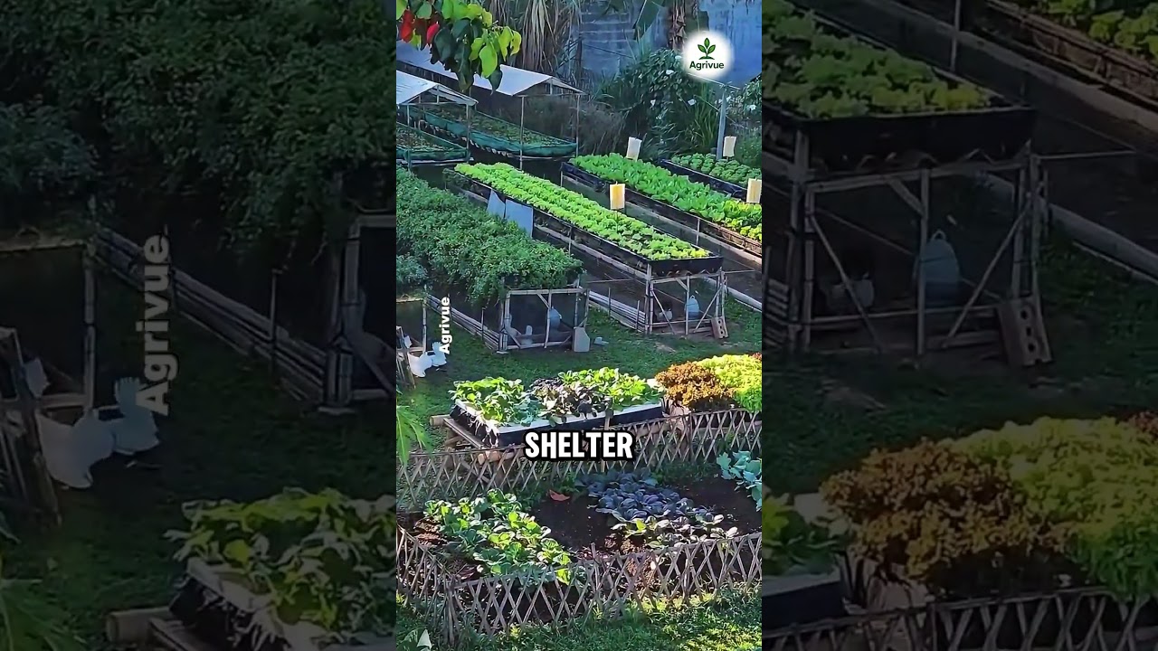 A Smart Farming Design for Surviving Limited Land and Economic Crisis.