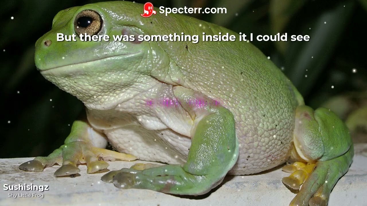 Shy Little Frog  - Sushisingz (Karaoke)