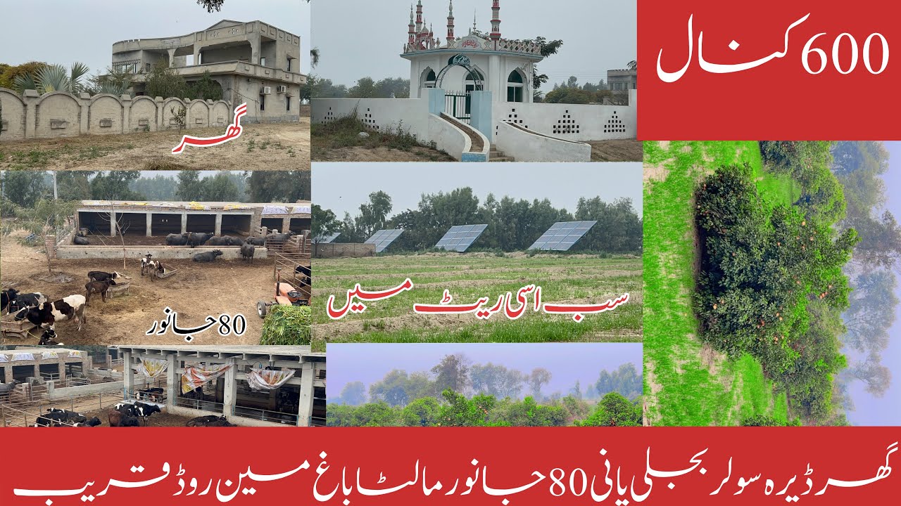 Land for sale in Pakistan land for sale in Pakistan land for sale in