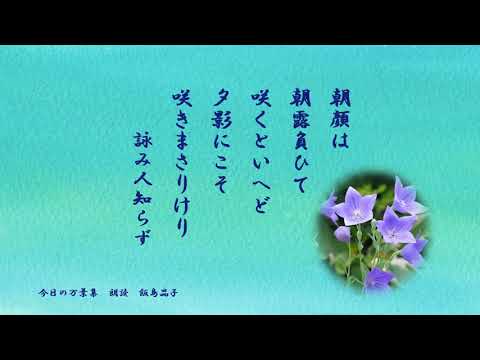 【今日の万葉集】7月25日　朝顔を見かけるようになりました。でも万葉のころの朝顔は桔梗なのだそうです。蕾をパチンとして遊んだ子供のころ思い出します。いたずらでしたね( ´艸｀)