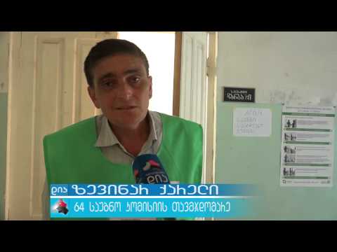 ტყვიავის ორივე საარჩევნო უბანზე ამომრჩეველთა აქტივობა საშუალოზე დაბალი იყო