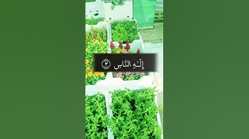 #سورة_الناس #اكسبلور #المصحف #villagelife #تيك_توك #الرحمن #لايك #القزابري #duet #الورقات