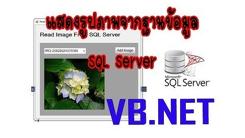 (VB.NET) แสดงรูปภาพจากฐานข้อมูล SQL Server | How Read Picture From SQL Server