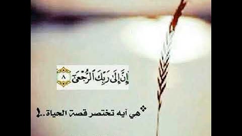 تراويح ليلة 23 رمضان 1446 سورة غافر (ابداااااع لايوصف) علي العزي