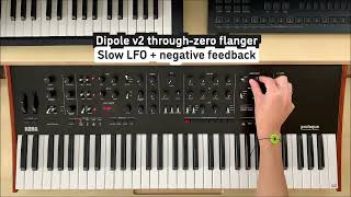KORG Dipole v2 by Sinevibes - with KORG prologue
