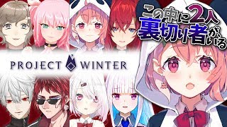 【project winter】私は誰にも騙されない雪山人狼ゲーム【笹木咲/にじさんじ】