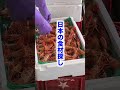 キャンピングカーで暮らす家族🚐 Vanlife Japan #shorts