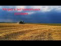 Финальная  стадия уборки пшеницы!!! 🌾🌾🌾Битва за урожай 2022!