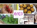 VLOG💜 Доска для мотивации🌿 Огород на балконе 🌿 Маникюр 🌿 Готовлю фаршированные шампиньоны