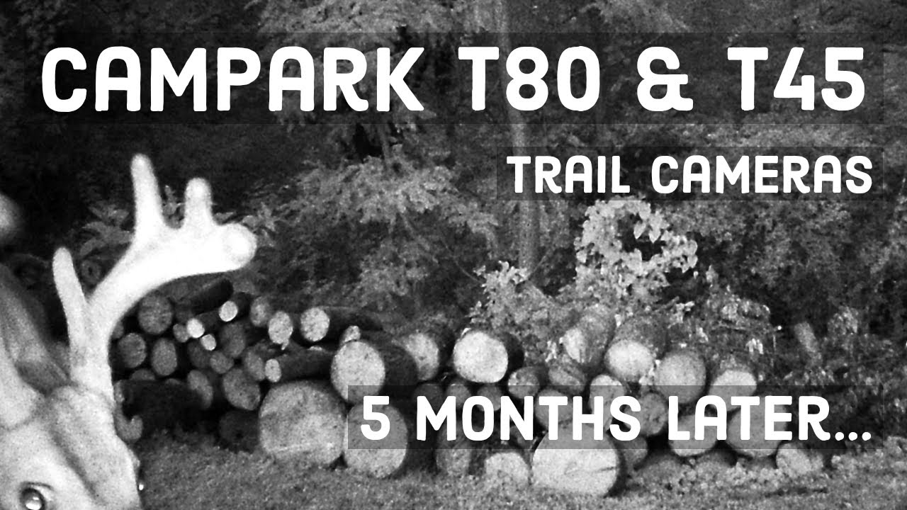 campark trail camera t45