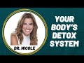 Your Body’s Detox System