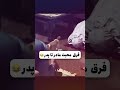 نظر تان کدام بهتر است جذاب شاد خنده اکسپلور طنزخنده