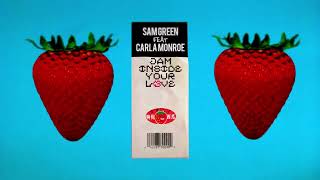 Sam Green Feat. Carla Monroe  - Jam Inside Your Love [Visualiser]