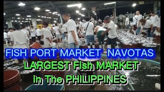 FISH PORT MARKET NAVOTAS CITY PHILIPPINES