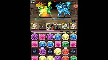 297ゼウス ダルシ 297ゼウス ダルシ