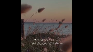 حالات واتس قران كريم ( ربنا اتنا في الدنيا حسنه وفي الاخره حسنه ) القارئ عبد الرحمن مسعد