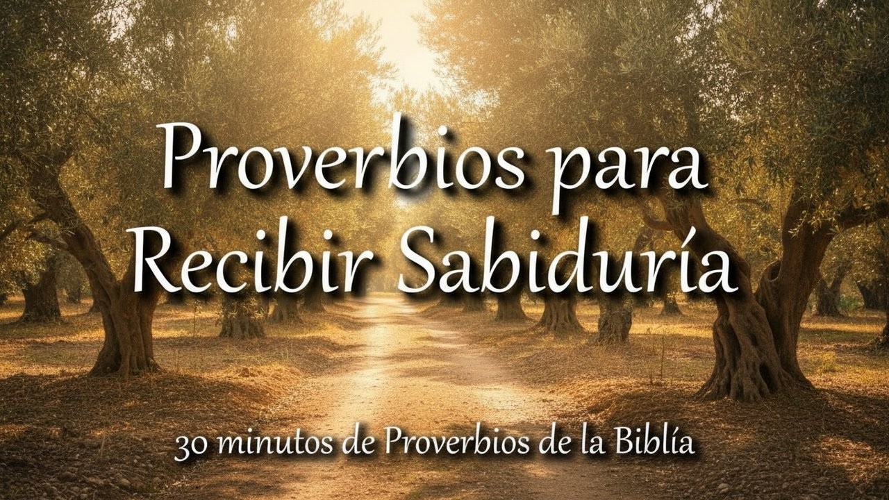 Proverbios para recibir sabiduría de parte de Dios | Biblia hablada | Bible audio