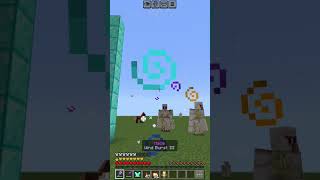 Elytra maze #minecraft #easy