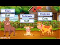 Домашние животные на английском языке для детей. Часть 1. Видео-тренажер.