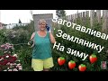 "ЧЕРЕНОЧНИК""
КОЗА
ЗЕМЛЯНИКА
МИШКА❤❤❤