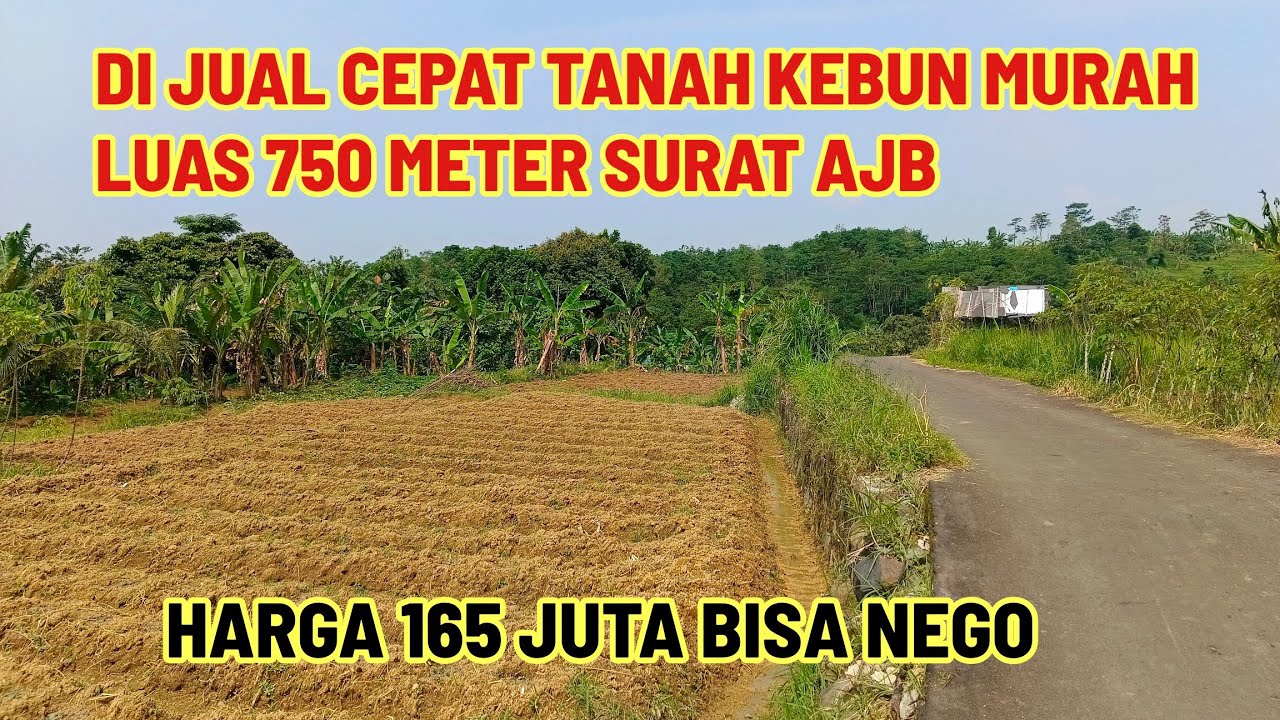 Di Jual Rugi Karena Pemilik Sedang Butuh‼️Luas Tanah 750 Meter Surat AJB Harga 165 Juta Nego‼️