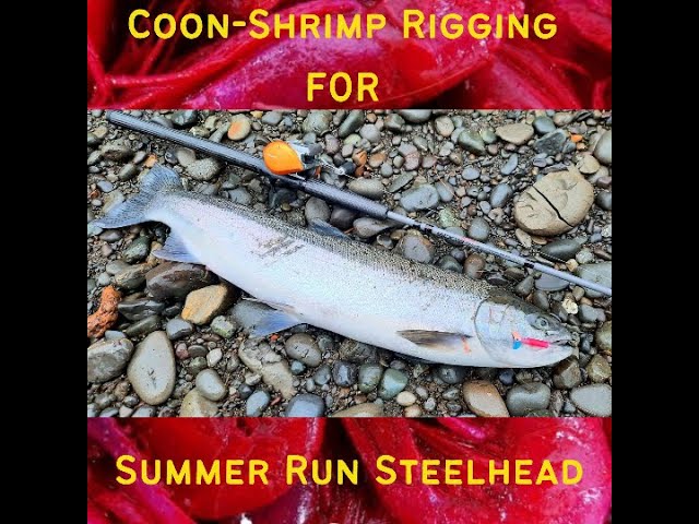 Steelhead Diver & Coon-Shrimp Rigging - Catch MORE Steelhead 