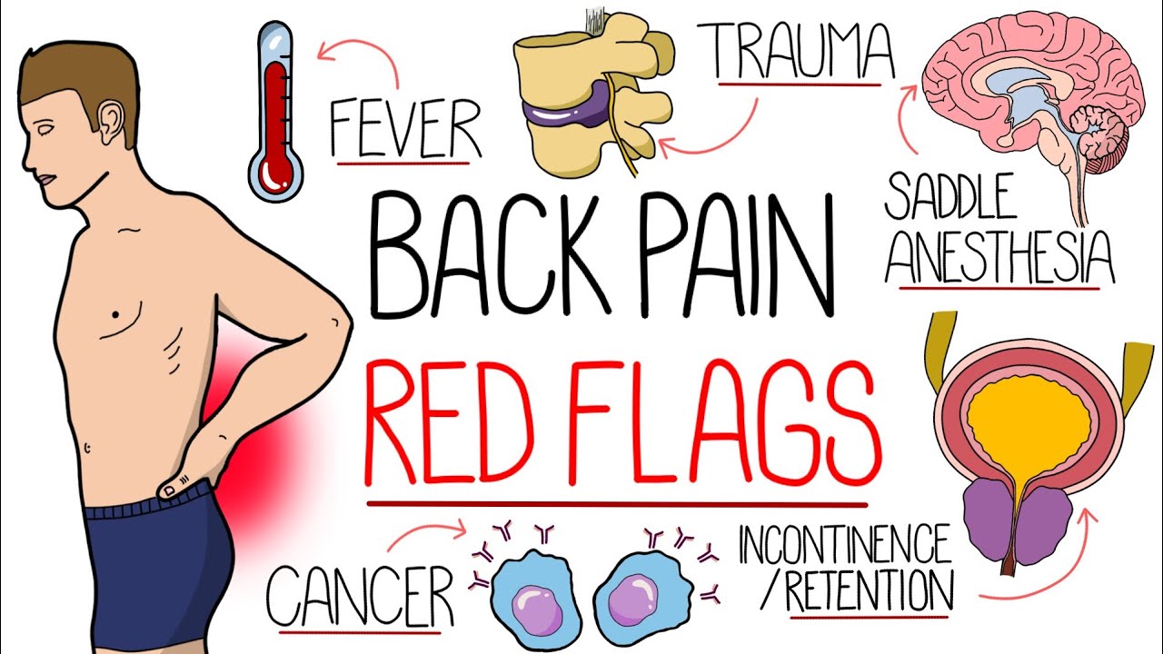 🥇 5 Red Flag Symptoms Of Pelvic Pain