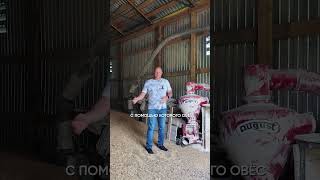 Подготовка кормовой базы на маральнике "Лесная сказка"