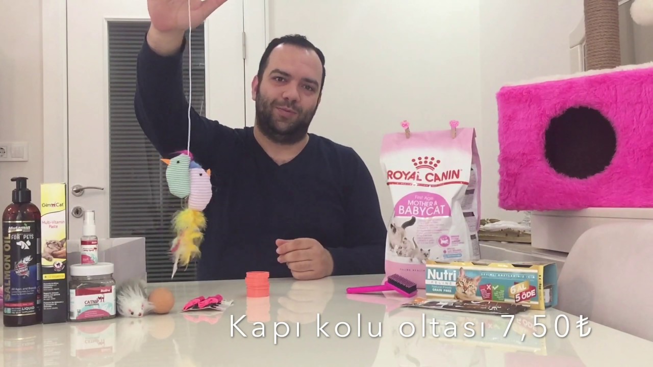 Part1. KEDİ MAMASI VE MALZEMELERİ ( KEDİ OYUNCAKLARI ) YouTube