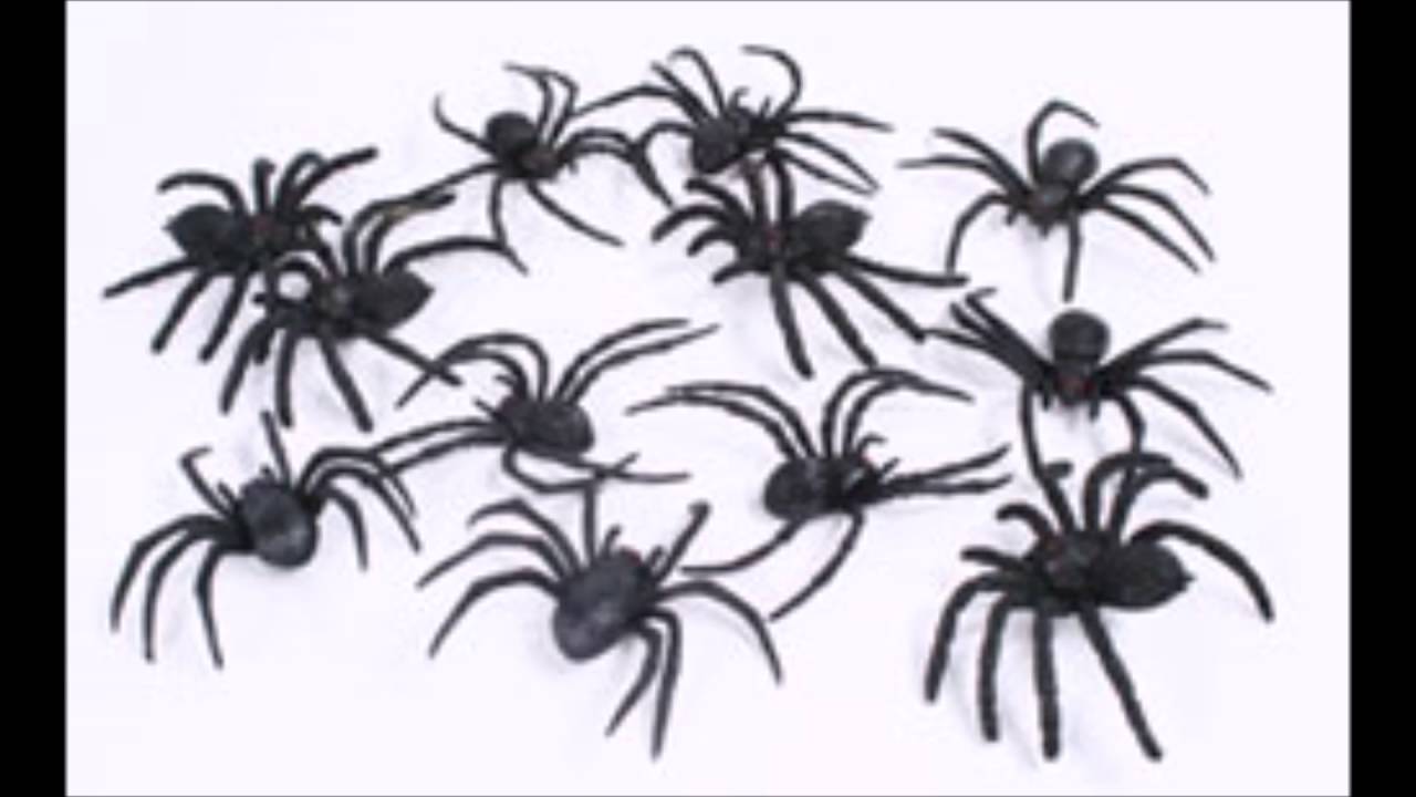 Soñar Que Te Pica Una Araña En La Pierna