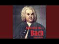 Miniature de la vidéo de la chanson Brandenburgisches Konzert Nr. 3 G-Dur, Bwv 1048: Iii. Allegro