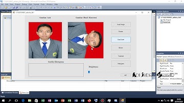 Rotasi, Greyscale, histogram foto pada Visual Basic