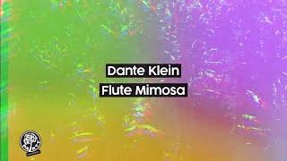 Dante Klein - Flute Mimosa Resimi