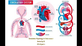 Rapid Circulation Physiology Guyton Ch #16 part 1 #physiology #mbbs