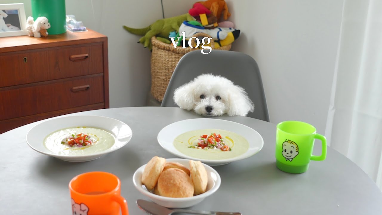 Уикенд с моей собакой｜Медленные утра, прогулки у моря и уютные вечера