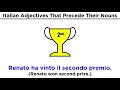 Adjective Types and Meanings in Italian