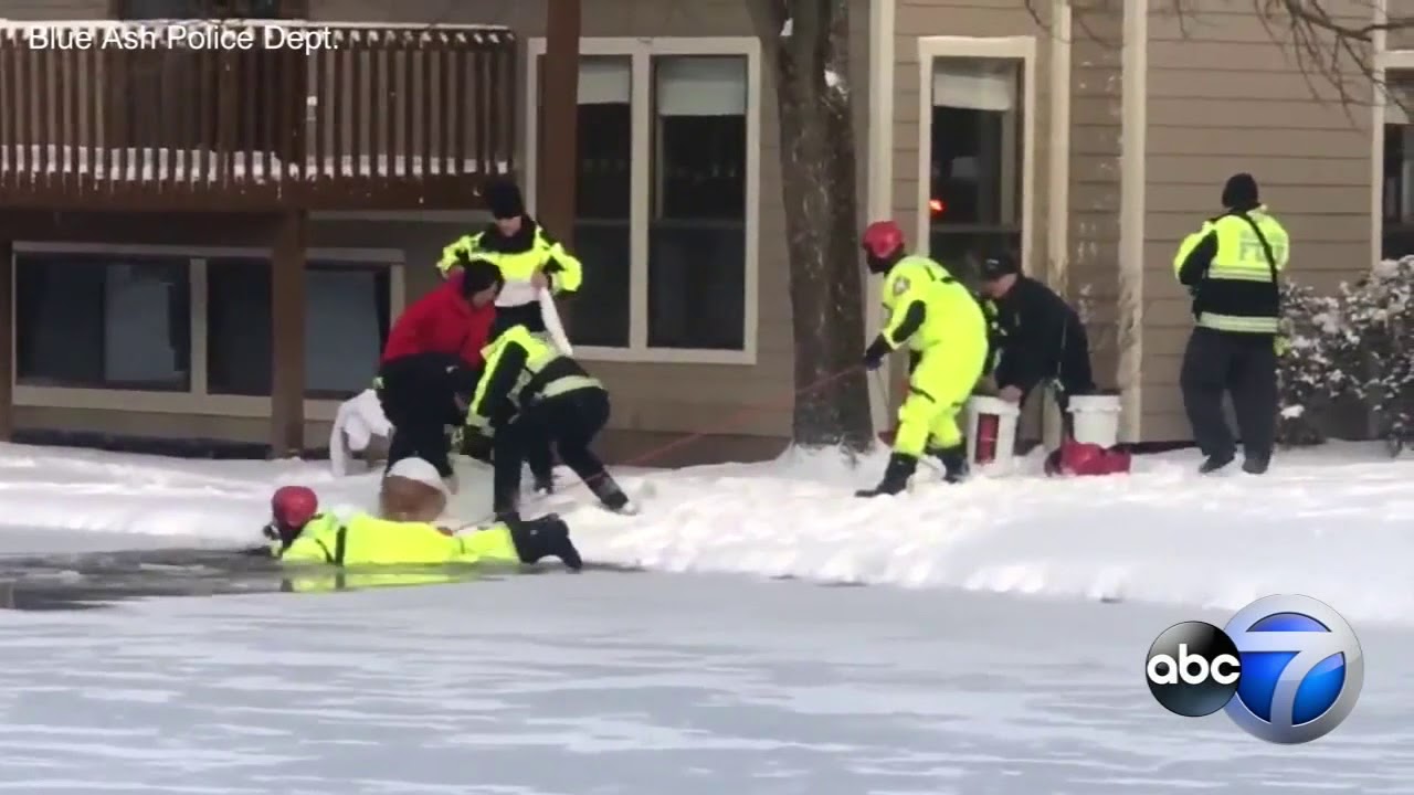 Firefighters rescue golden retriever that fell through ice - YouTube