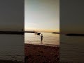 Laut
