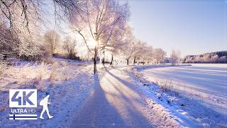 Download Lagu This is Finland at its best: Picturesque Morning Walk in Snow ❄️ Slow TV 4K MP3