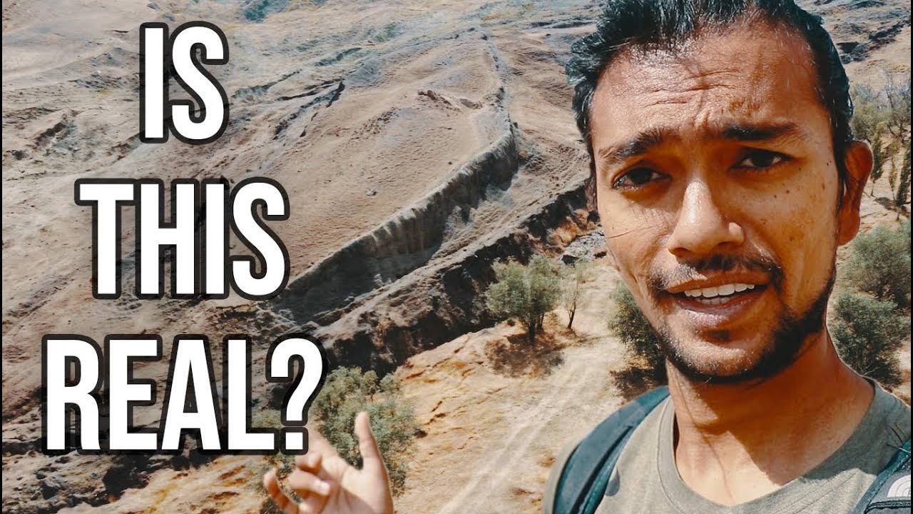 Посещение Ноева ковчега