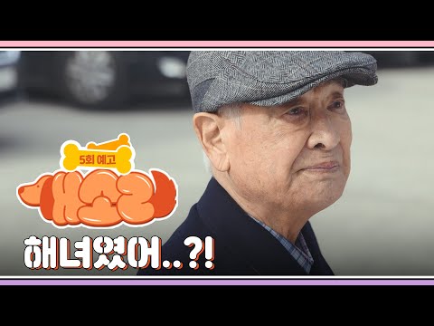[개소리/Dog <strong>Knows</strong> Everything] | <strong>KBS</strong> 방송