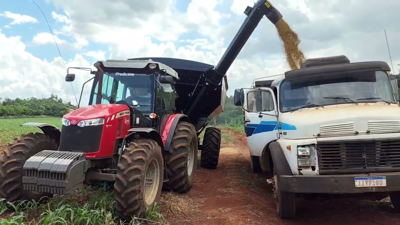 Colher foi fácil difícil foi subir a serra 