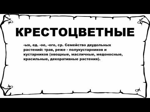 КРЕСТОЦВЕТНЫЕ - что это такое? значение и описание