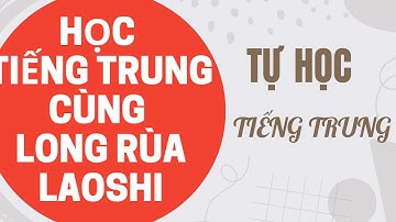Các câu HSK Tiếng Trung | Long Rùa Laoshi